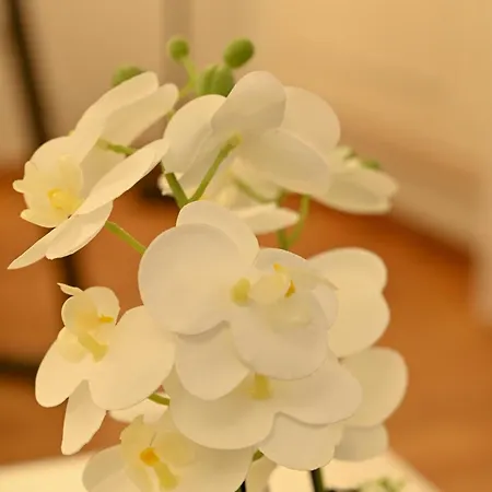 Apartment Downtown Superior *