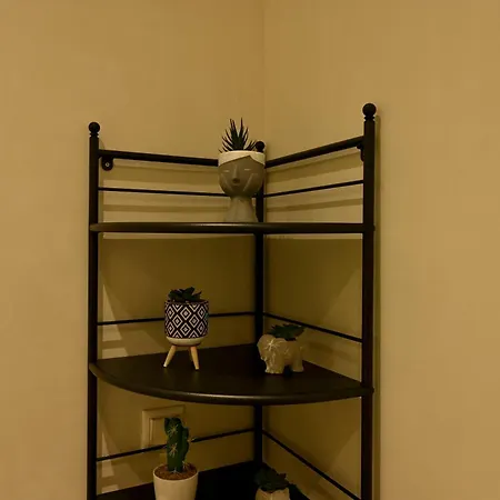 公寓 Downtown Superior